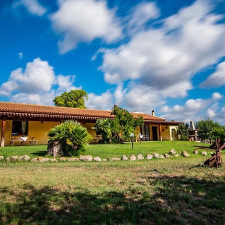 Agriturismo Carrucana Martis Eksteriør bilde