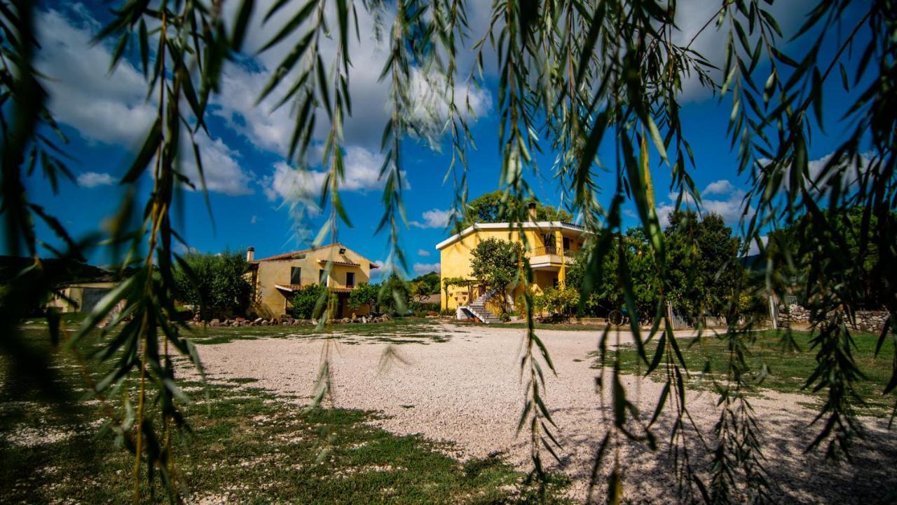 Agriturismo Carrucana Martis Eksteriør bilde